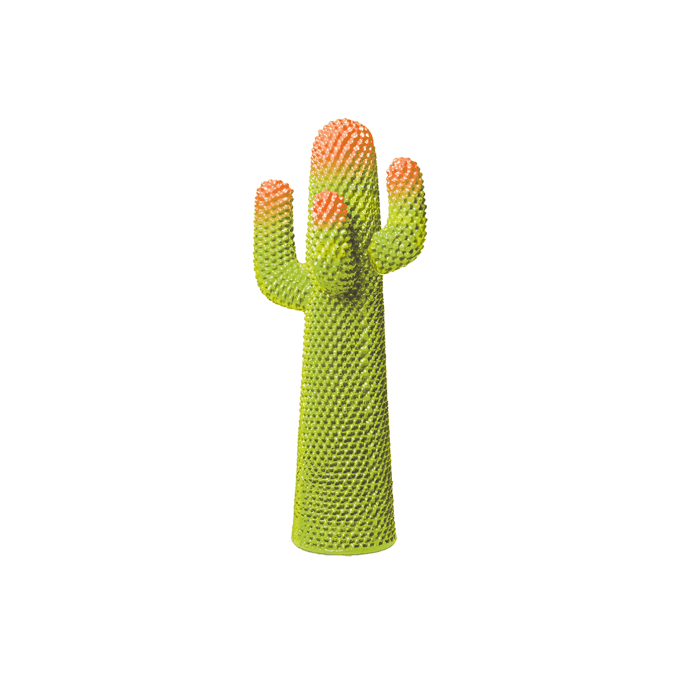 Metacactus