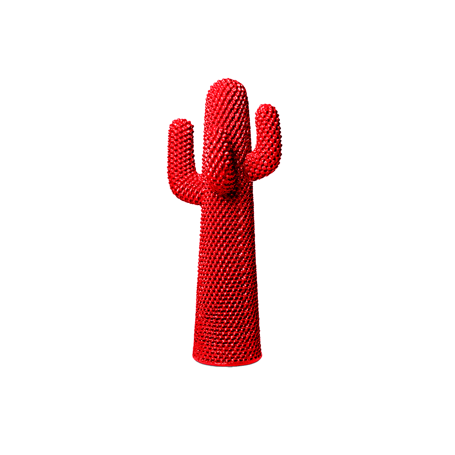 Rossocactus