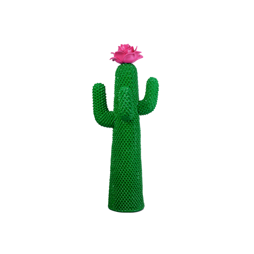 Fiore di Cactus&reg;