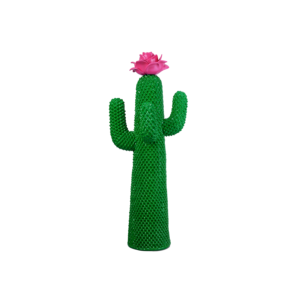 Fiore di Cactus&reg;